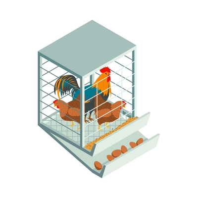 Isometric poultry farm chicken composition with isolated image of cage with rooster and hens vector illustration