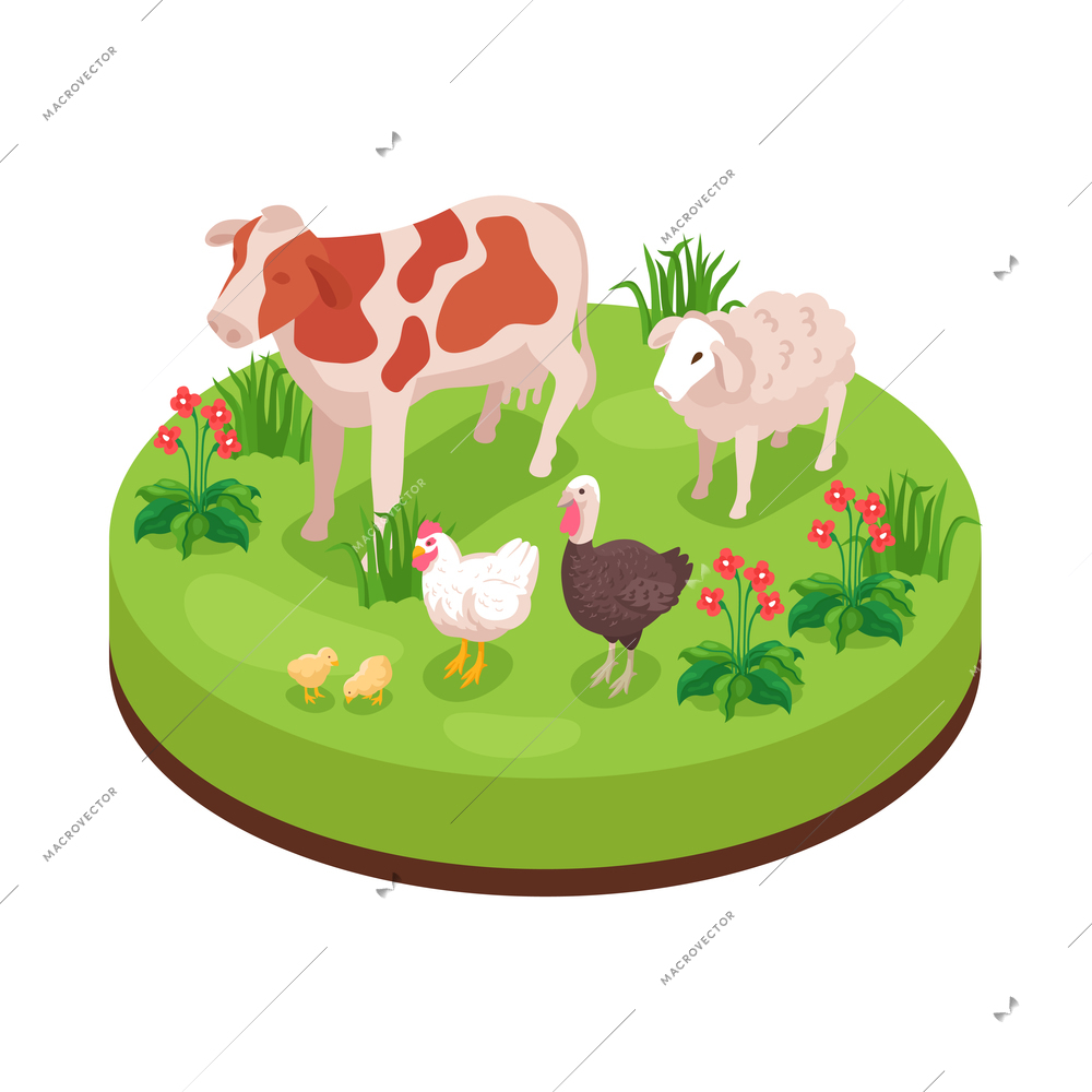 Isometric natural environmental land resources composition with farm animals on grass with flowers vector illustration