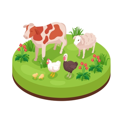 Isometric natural environmental land resources composition with farm animals on grass with flowers vector illustration