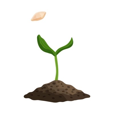 Farming organic vegetables composition with images of seed and sprout in ground vector illustration