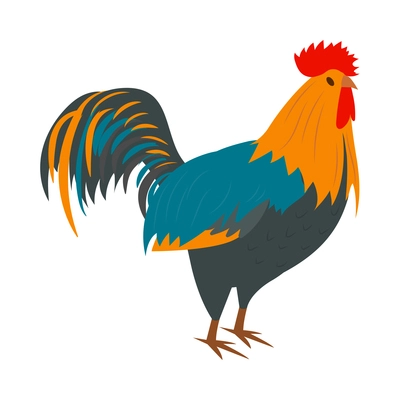 Isometric poultry farm chicken composition with isolated image of rooster vector illustration