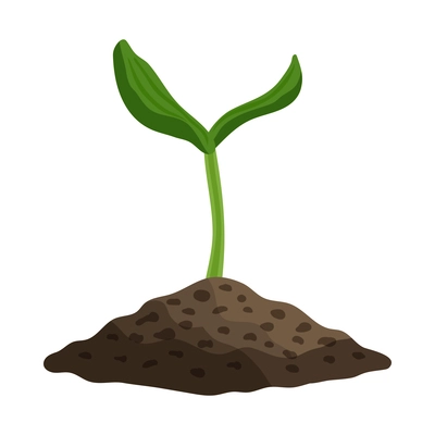 Cucumber plant growth stages composition with image of sprout in ground vector illustration