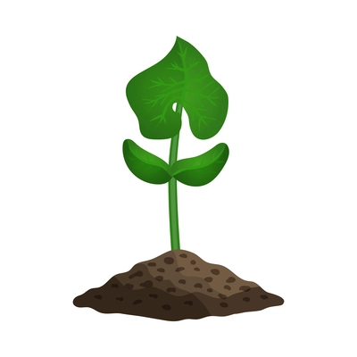 Cucumber plant growth stages composition with image of sprout with leaf in ground vector illustration