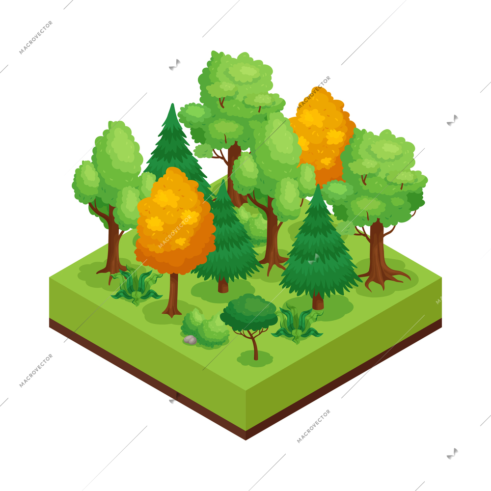 Isometric natural environmental land resources composition with view of different trees in forest vector illustration