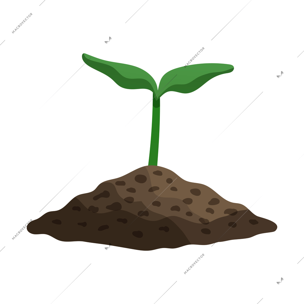 Pepper plant growth stages composition with image of sprout in ground vector illustration