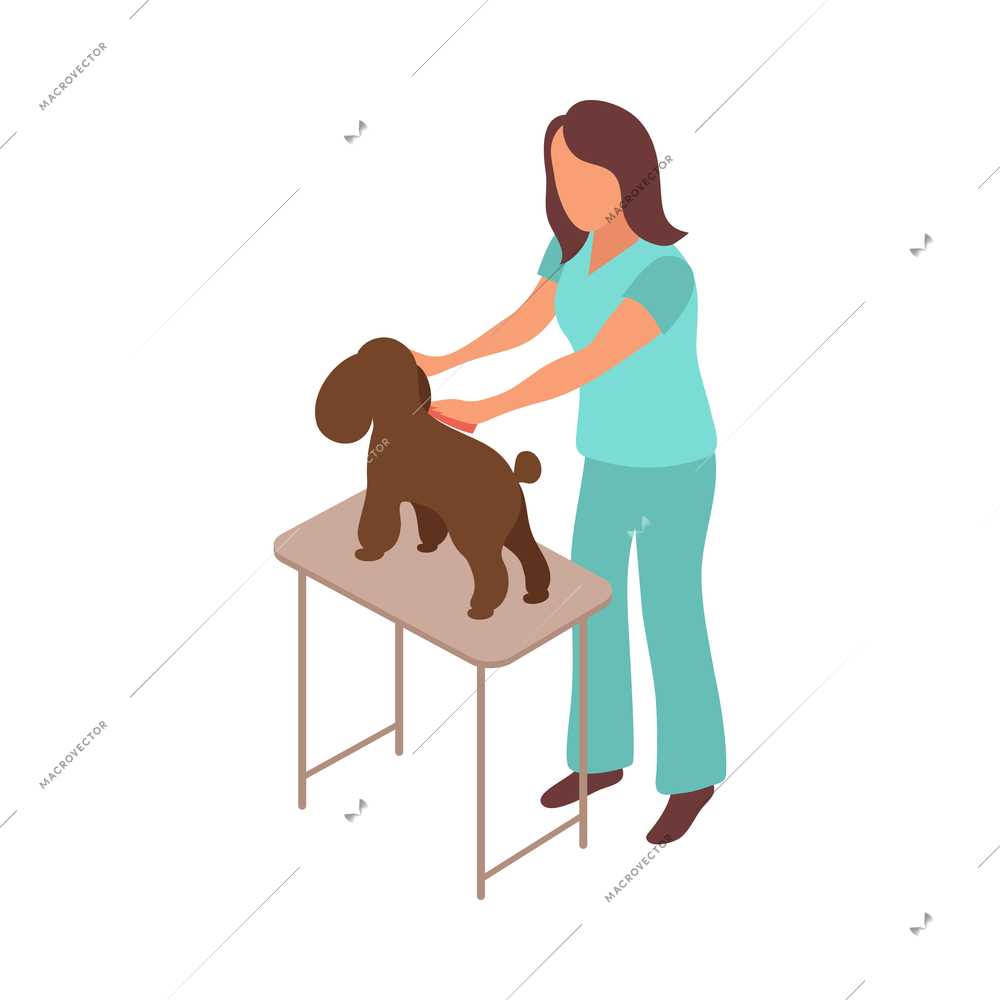 Pet animals isometric composition with character of female veterinarian examining dog on table vector illustration