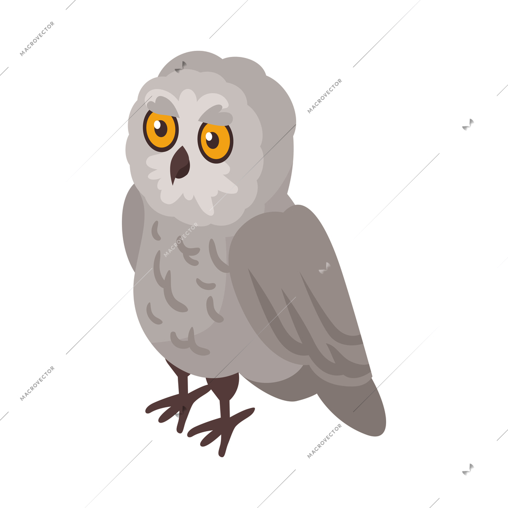 Isometric ornithologist isometric composition with isolated image of owl bird vector illustration
