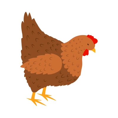 Isometric poultry farm chicken composition with isolated image of hen vector illustration