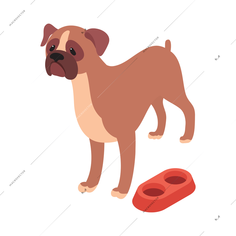 Pet animals isometric composition with isolated image of bulldog with dishes vector illustration