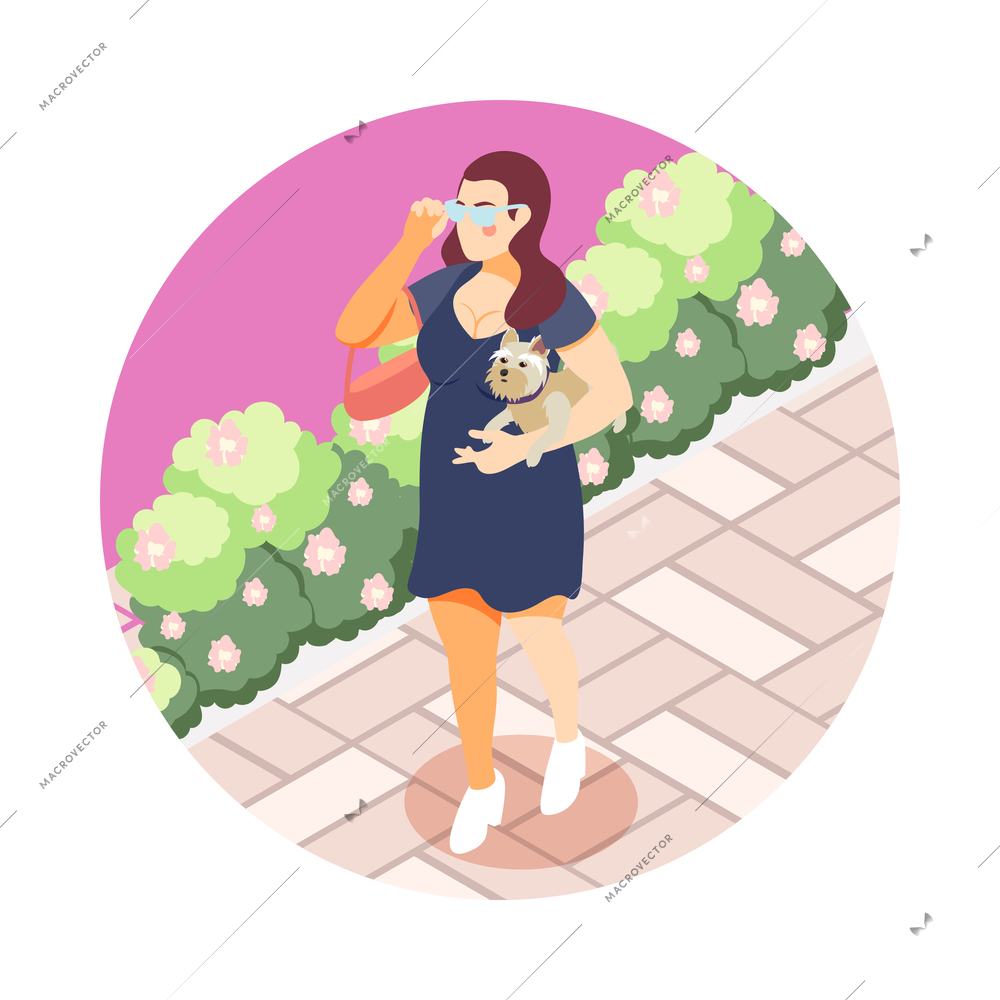 Large size people isometric round composition with street scenery and plus size woman walking with dog vector illustration