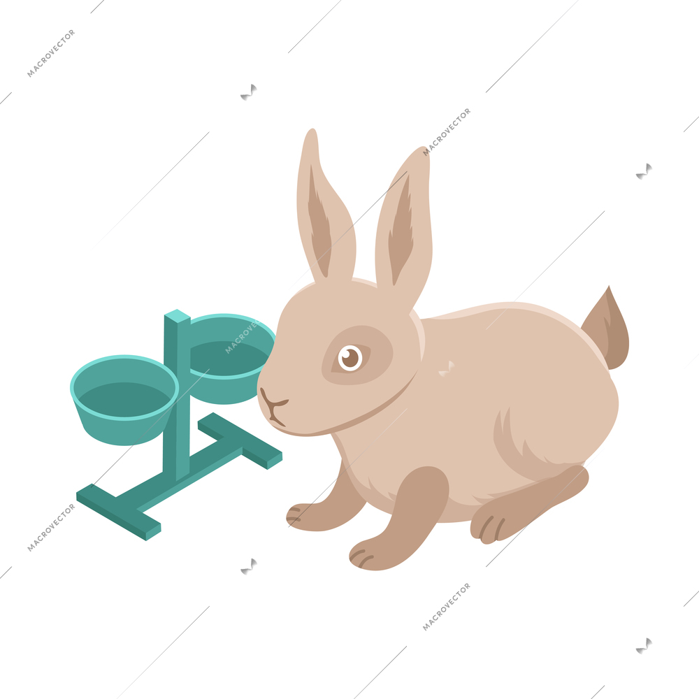 Pet animals isometric composition with isolated image of rabbit with dishes vector illustration