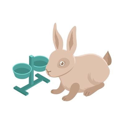 Pet animals isometric composition with isolated image of rabbit with dishes vector illustration