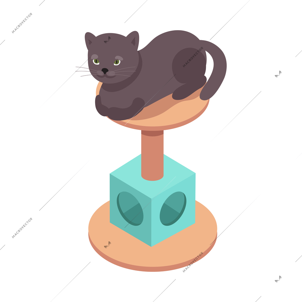 Pet animals isometric composition with isolated view of cat booth with high stand vector illustration