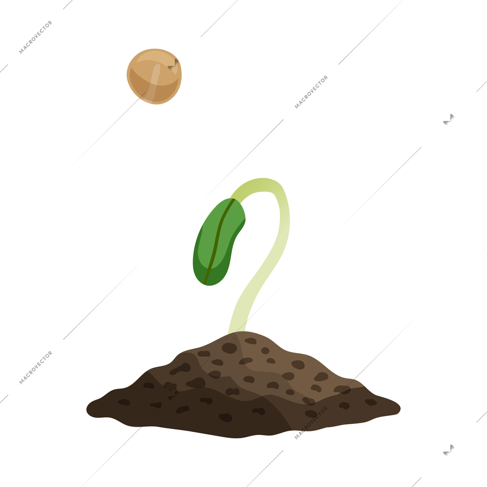 Farming organic vegetables composition with images of seed and sprout in ground vector illustration