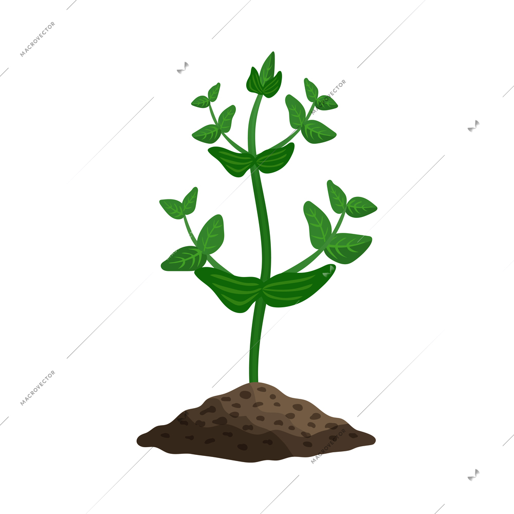 Farming organic vegetables composition with images of sprout coming up from ground vector illustration