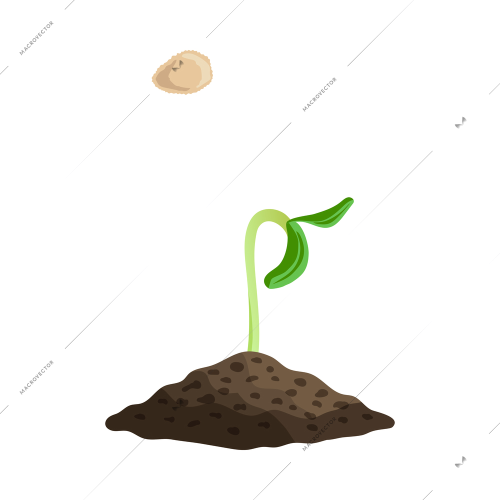 Farming organic vegetables composition with images of seed and sprout in ground vector illustration