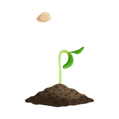 Farming organic vegetables composition with images of seed and sprout in ground vector illustration
