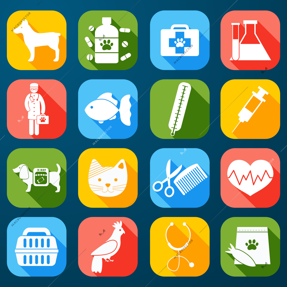 Veterinary pet food and health care  icons set flat isolated vector illustration