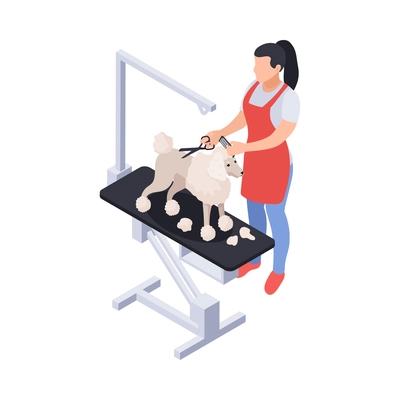 Pet salon isometric icon with woman grooming poodle dog 3d vector illustration