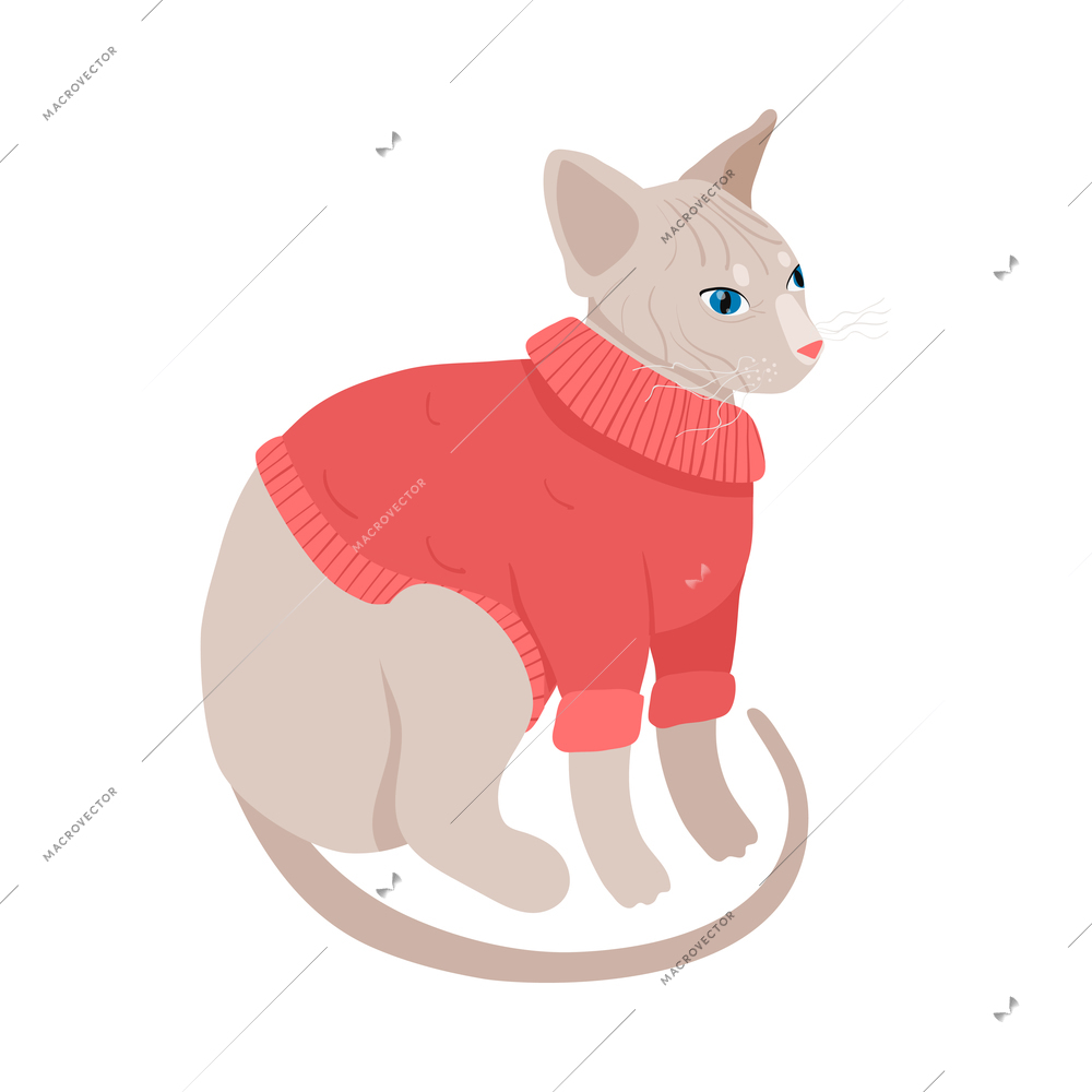 Cute sphinx cat wearing red sweater isometric icon vector illustration