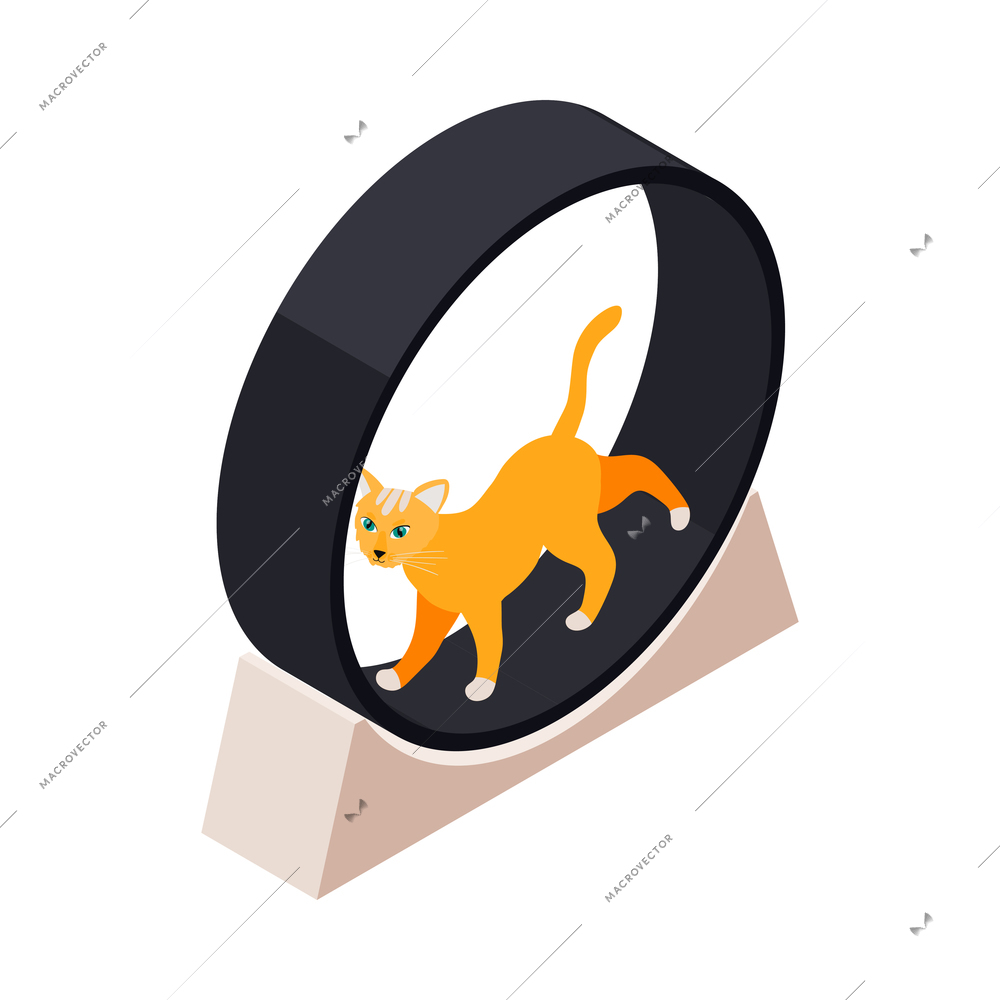 Isometric icon with cat doing fitness 3d vector illustration