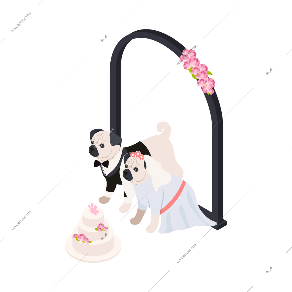 Dog wedding isometric icon with cute pugdogs wearing costumes of bride and groom 3d vector illustration