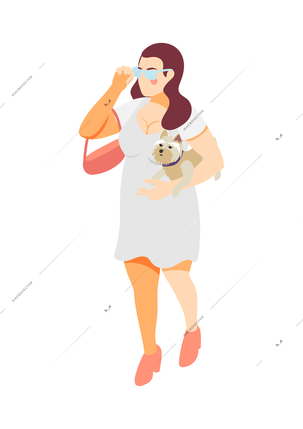 Elegant plus size woman wearing glasses white dress walking with small dog isometric vector illustration