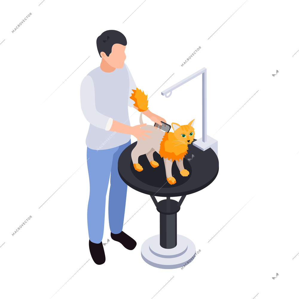 Male groomer grooming cat at pet salon 3d isometric icon vector illustration