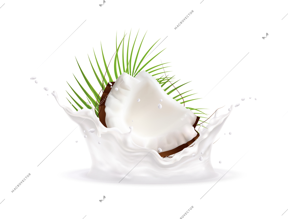 Half coconut in milk splashes and tropical green leaf realistic vector illustration