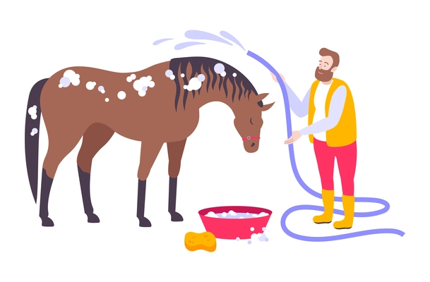 Man washing brown horse with water hose flat icon vector illustration