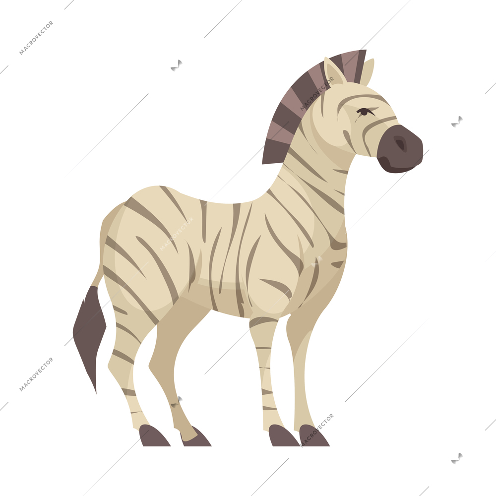 Flat zebra side view on white background vector illustration