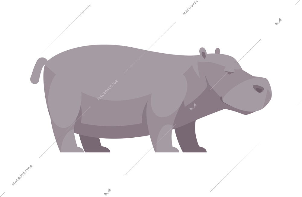 Flat hippo side view on white background vector illustration