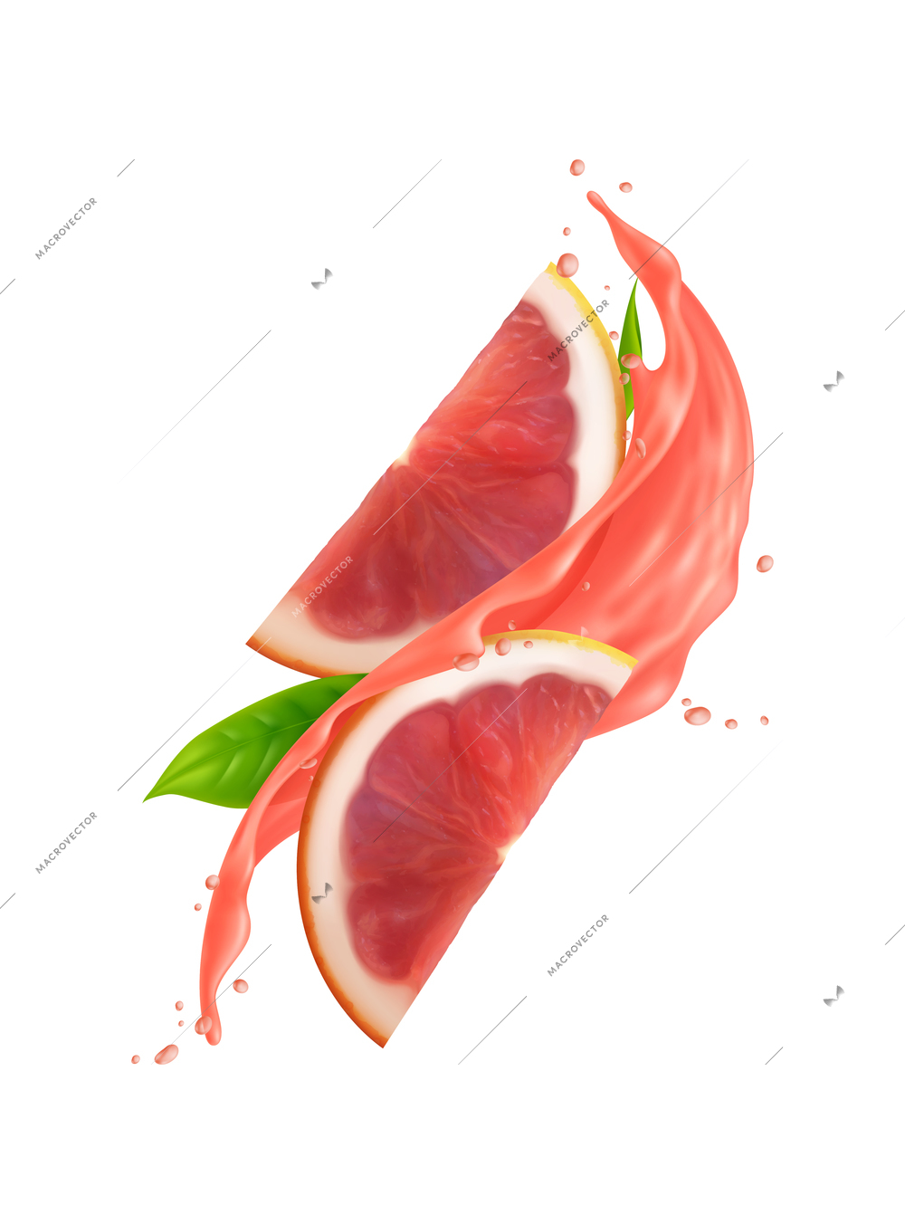 Two slices of fresh grapefruit in juice splashes realistic vector illustration