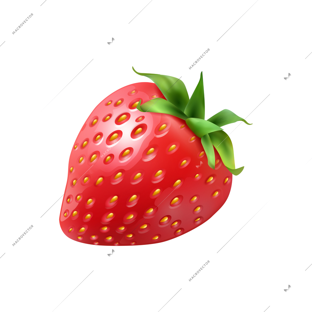 Realistic ripe red strawberry with green leaves vector illustration