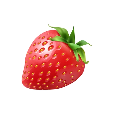 Realistic ripe red strawberry with green leaves vector illustration