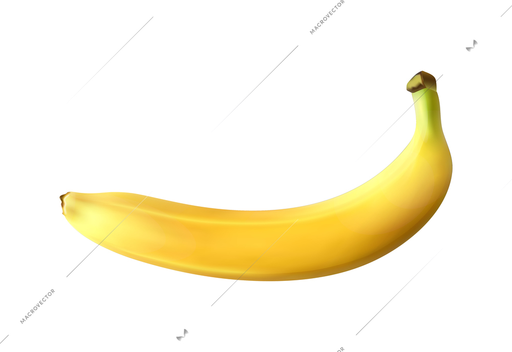 Realistic ripe unpeeled banana on white background vector illustration