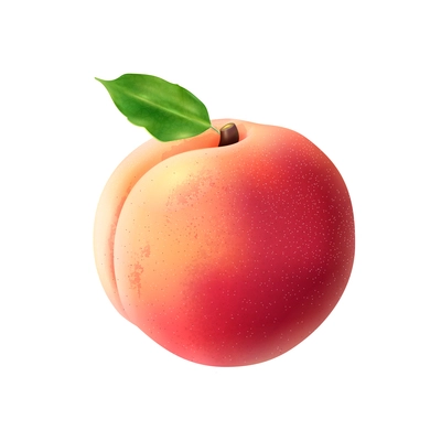 Realistic peach with green leaf vector illustration