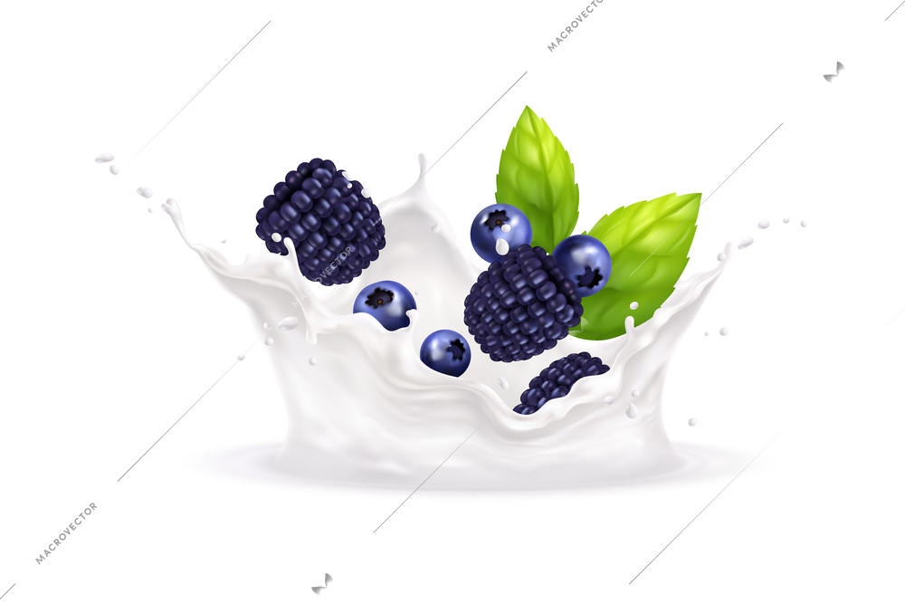 Realistic fresh blackberries and blueberries in milk splashes vector illustration