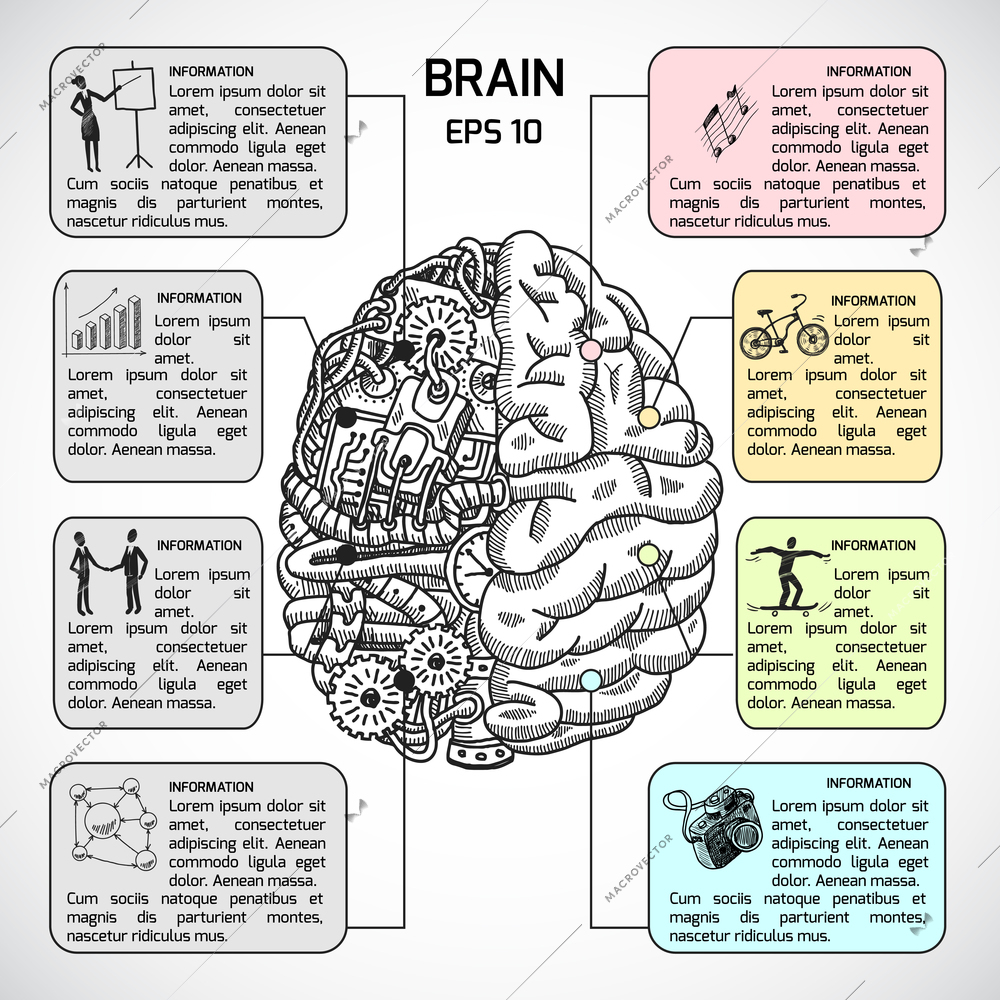 Brain hemispheres sketch infographic set with intellect and creativity symbols vector illustration