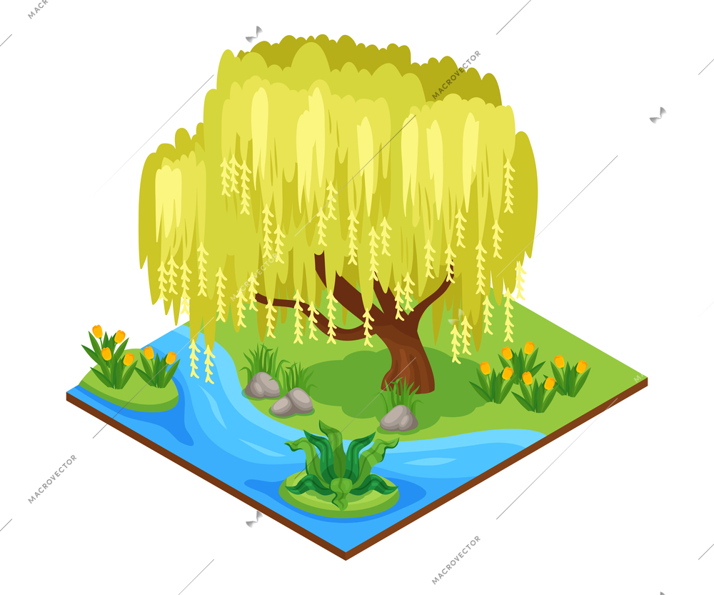 Natural park composition with weeping willow pond flowers 3d isometric vector illustration