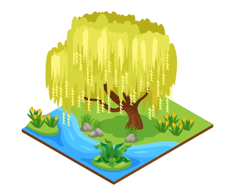 Natural park composition with weeping willow pond flowers 3d isometric vector illustration