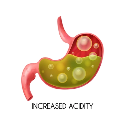 Human internal organ stomach with increased acidity on white background realistic vector illustration