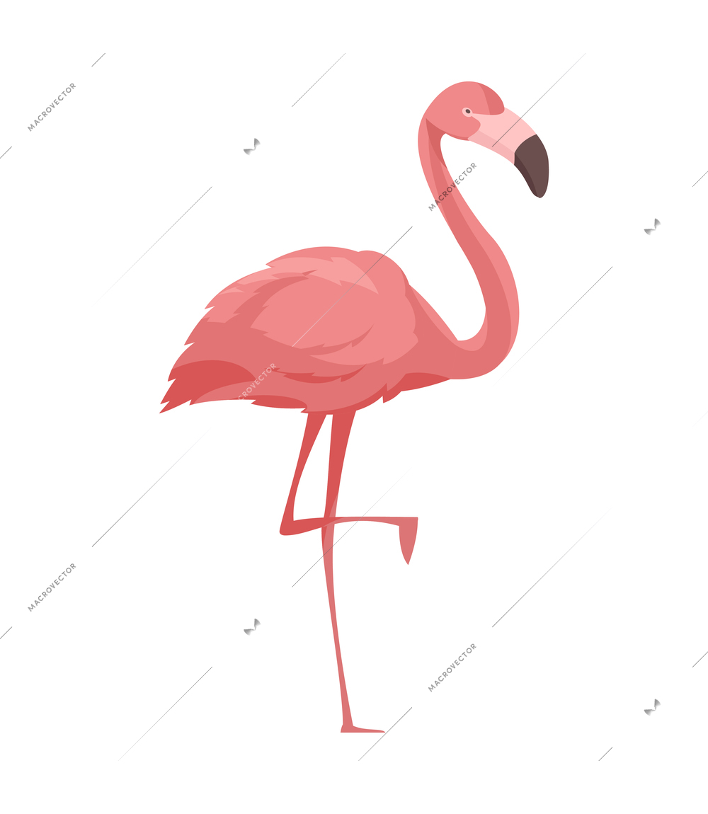 Flat pink flamingo on white background vector illustration