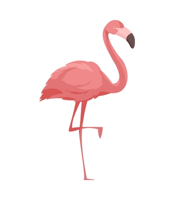 Flat pink flamingo on white background vector illustration