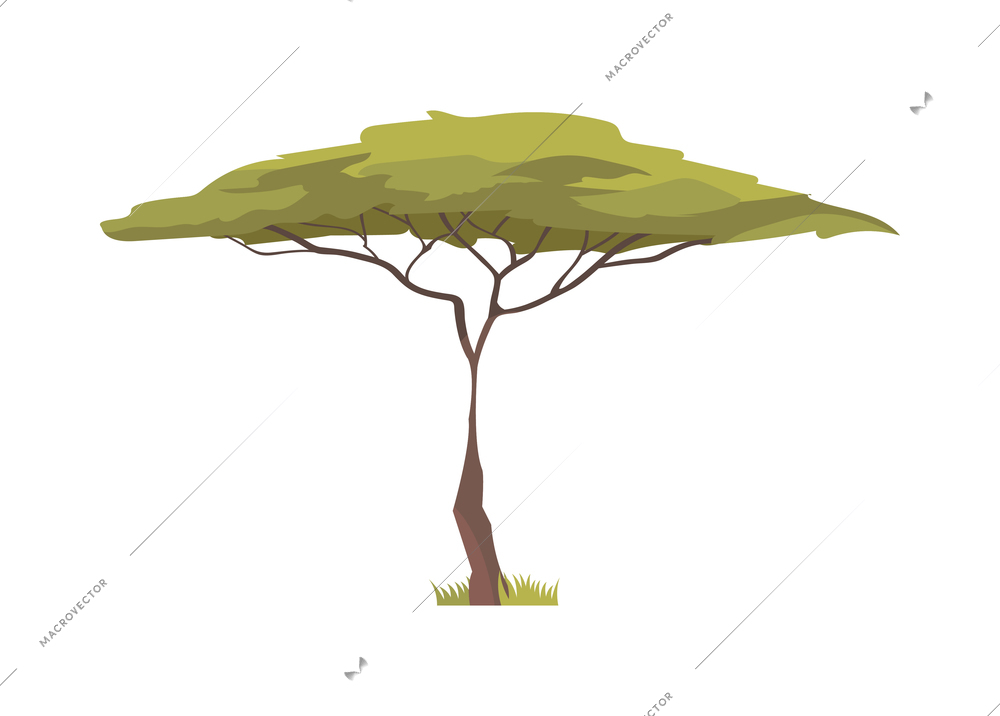 African green acacia tree flat icon vector illustration