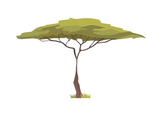 African green acacia tree flat icon vector illustration