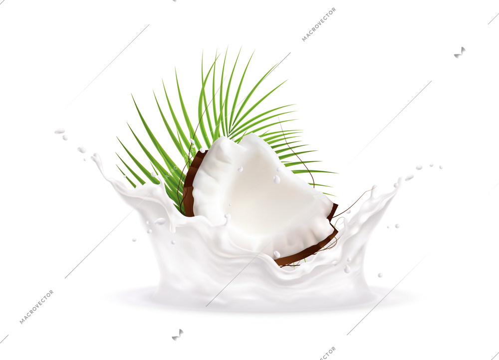 Realistic background with half coconut in milk splashes and tropical leaf vector illustration