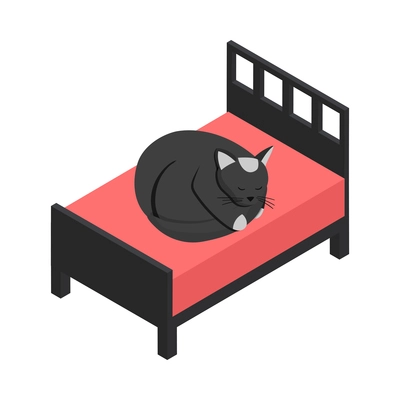 Cute black cat sleeping on bed isometric icon vector illustration