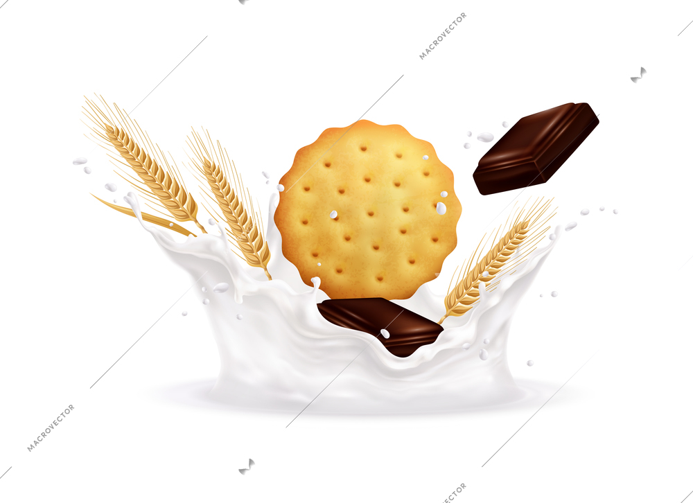 Wheat cookie and pieces of chocolate in splashes of milk or yogurt realistic vector illustration