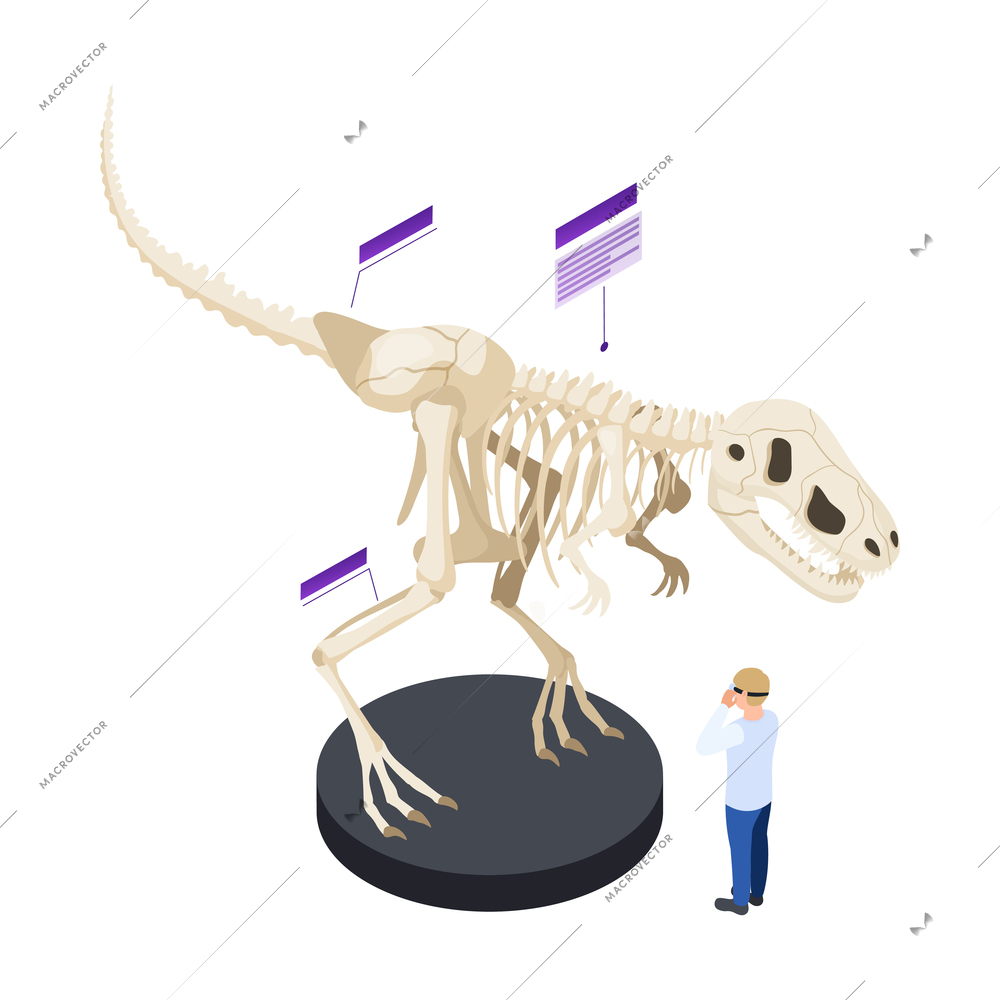 Man in augmented reality glasses watching skeleton of dinosaur in modern museum 3d isometric icon vector illustration